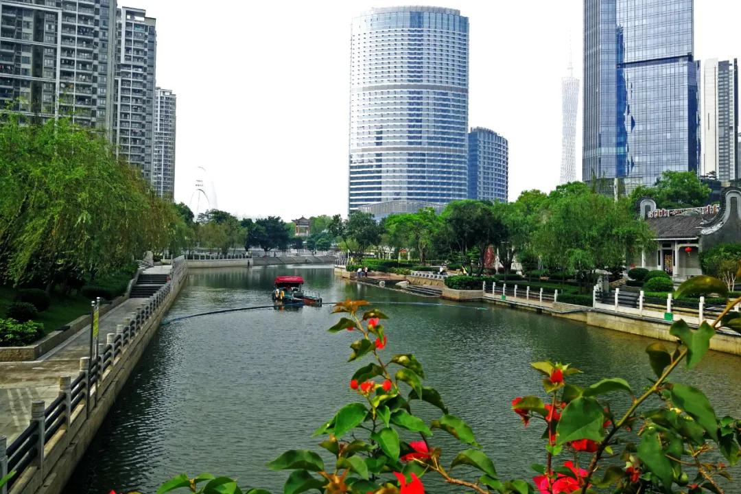 广州的河涌为什么那么脏,广州河涌的源头