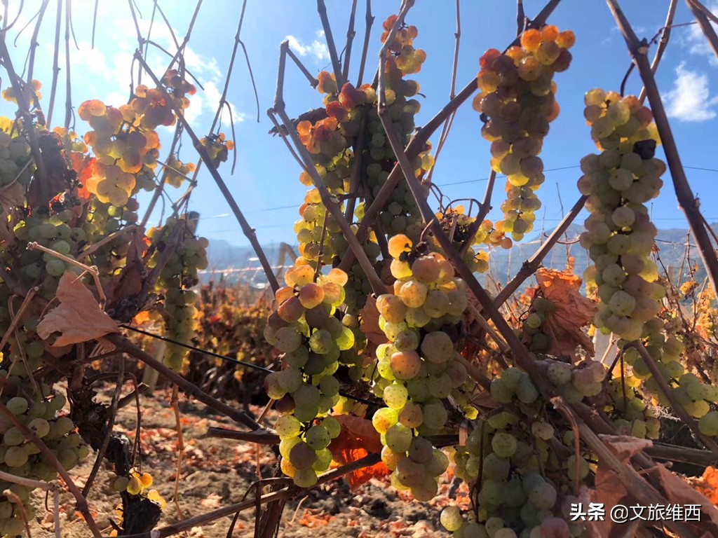 云南极边之城旅游攻略,云南不费脑的旅游攻略