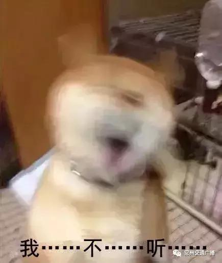 超强冷空气来袭北方多地降温,冷空气来袭襄阳