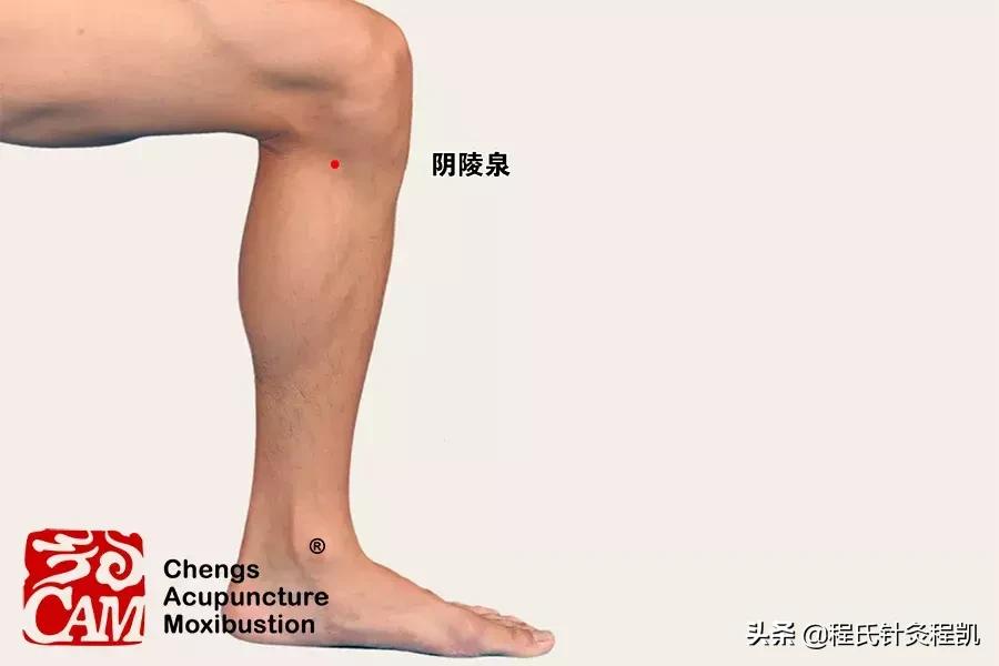 中老年膝盖疼痛怎么养护,中老年膝盖疼的最好治疗方法