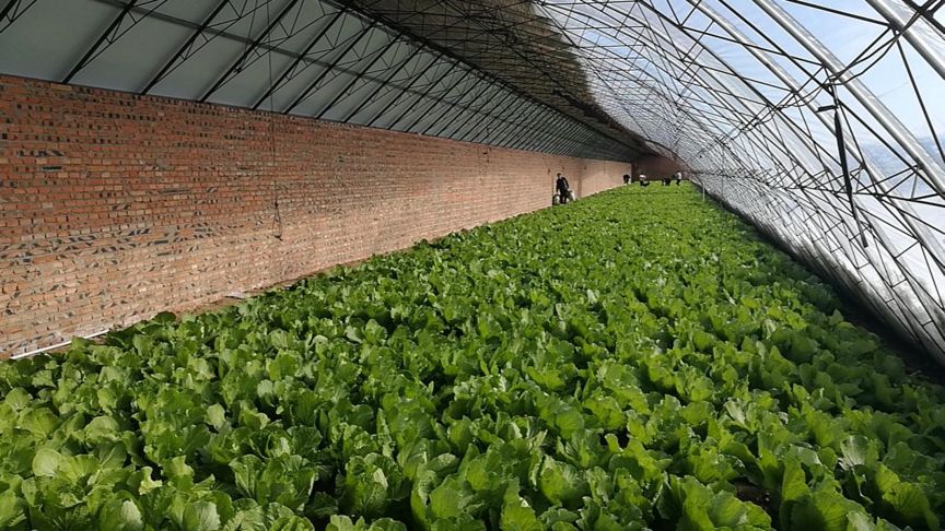 一线战“疫”,一线战疫情保生产