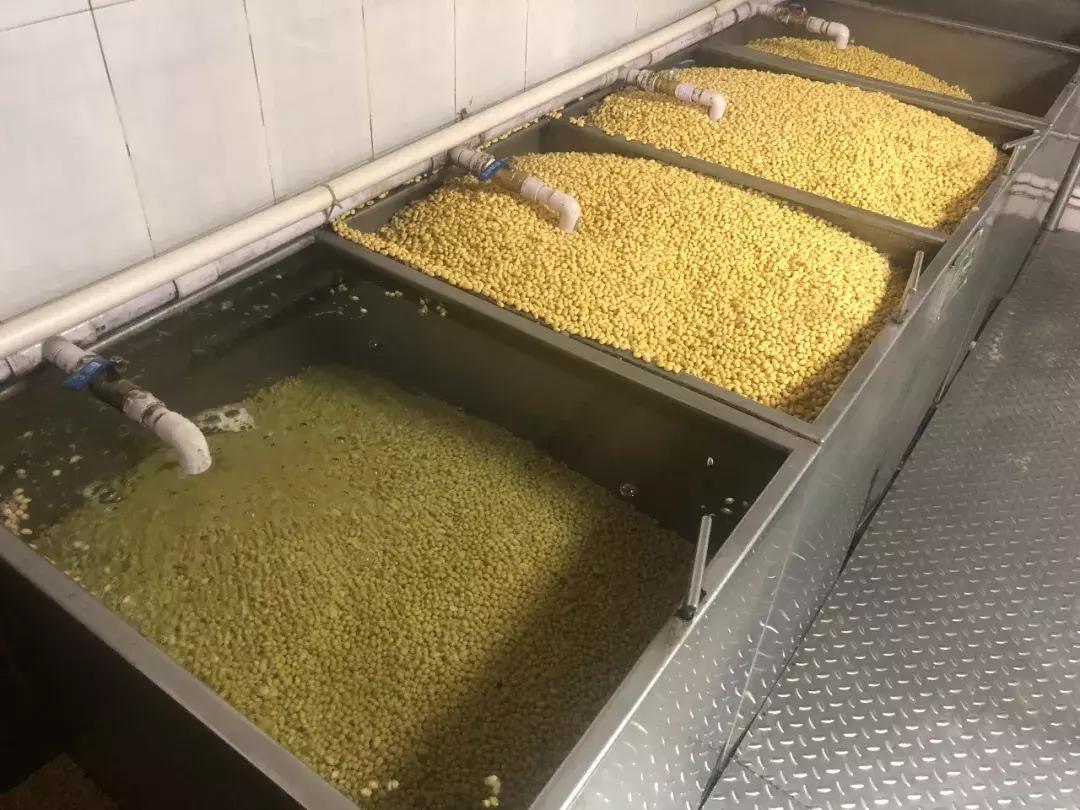 深圳豆制品生产小作坊,突查小作坊