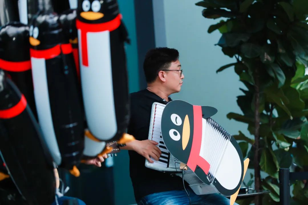 腾讯为什么使用企鹅,腾讯企鹅的成长过程