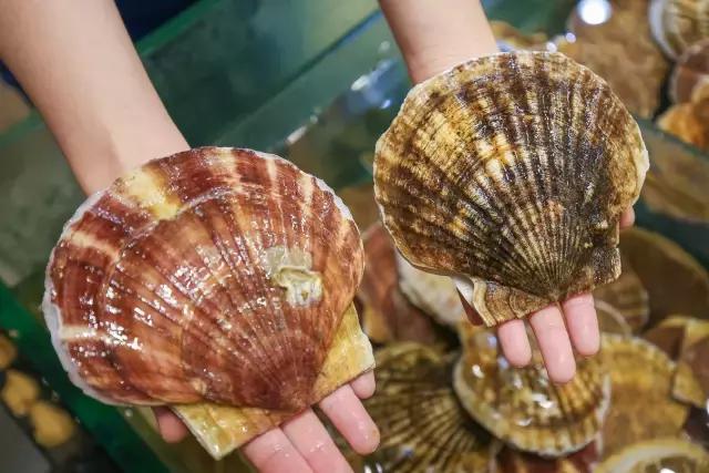 汕尾吃海鲜的正确方式,汕尾人吃海鲜