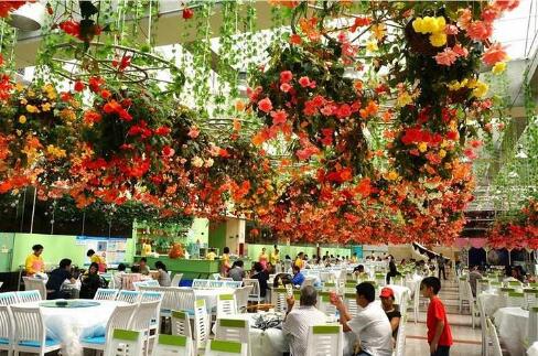 最新适合穷人创业的好项目赚钱,农村创业5大暴利行业资讯