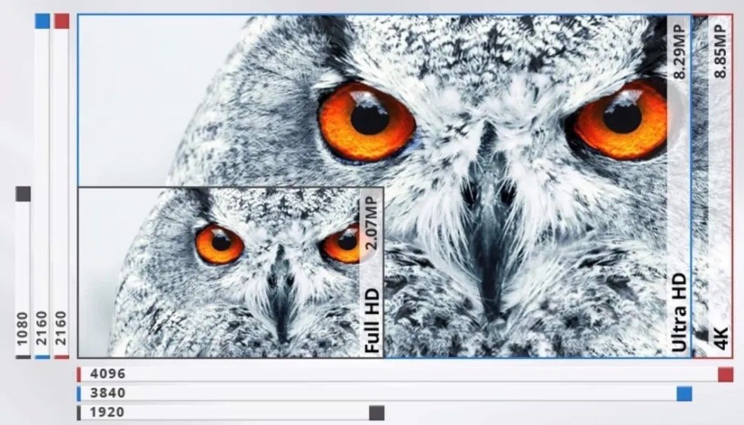 24寸2k性价比高的显示器推荐,性价比最高的24英寸显示器推荐