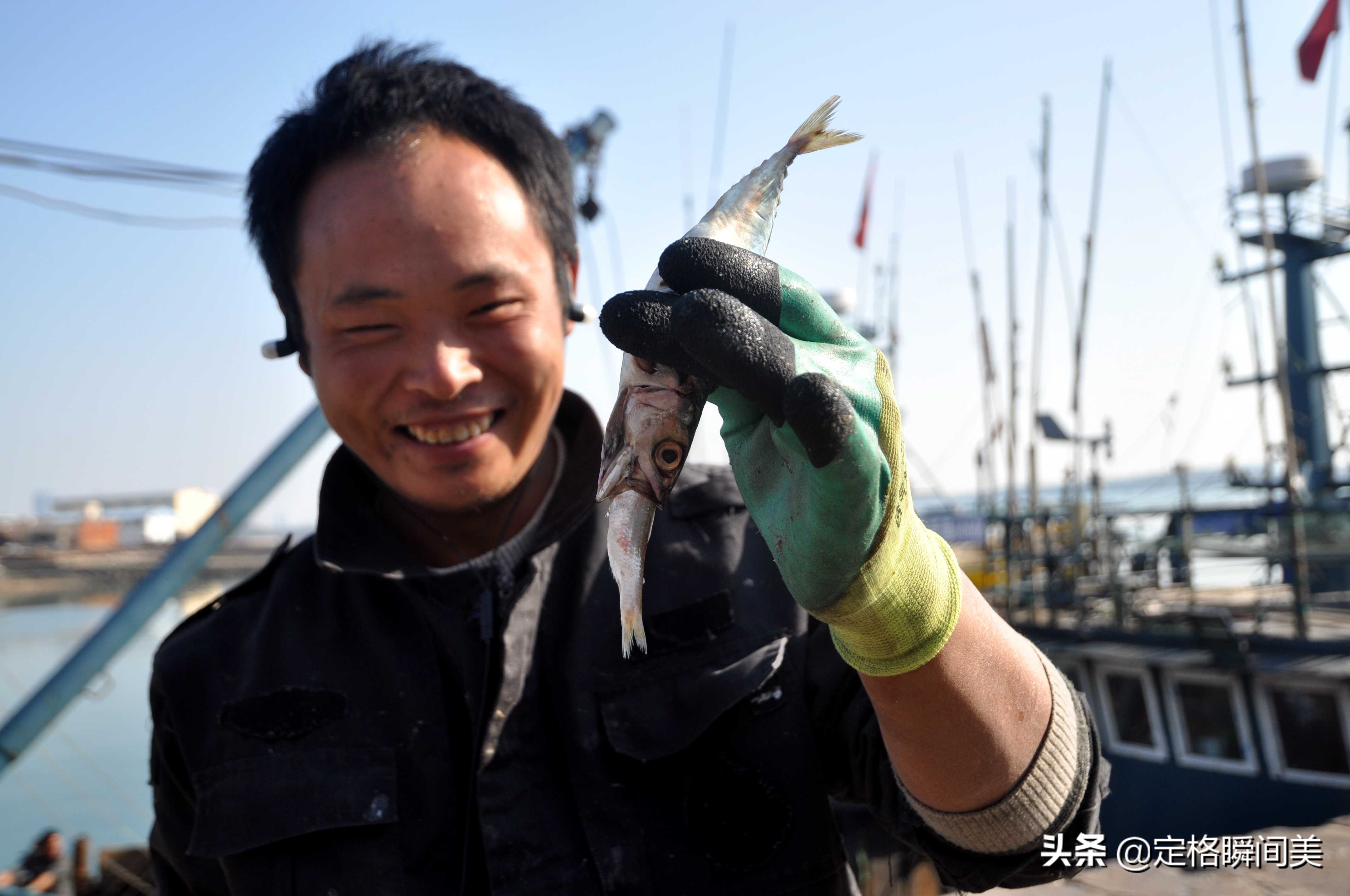 青岛开海海鲜种类,青岛开海后的海鲜价格