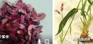 中药饮片过江龙别名,常见中药名称形状