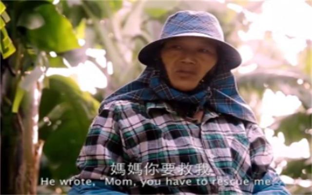 玫瑰少年叶永志为什么会流血,叶永志玫瑰少年事件照片