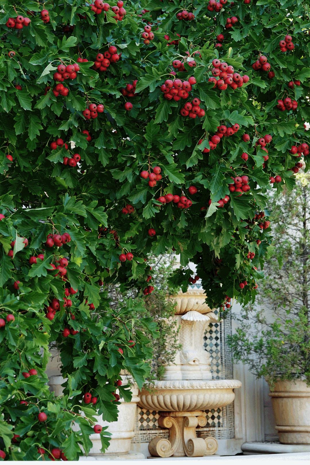 绿城印象南宁市江南区,绿城印象楼中楼