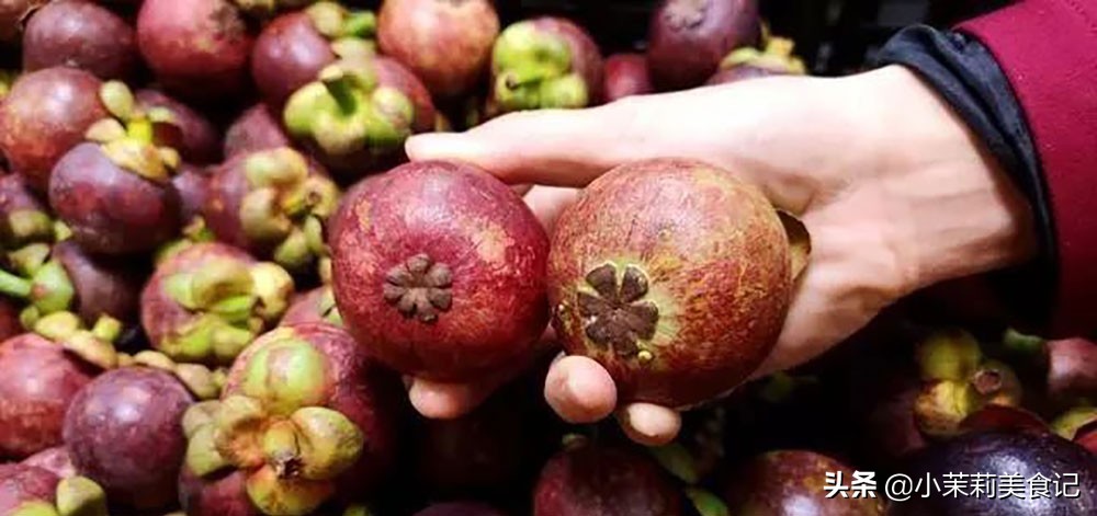 山竹怎么挑选教你山竹选购技巧,山竹那么好吃你会挑选山竹吗