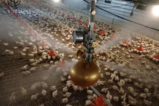 “一口青锋驱三魔”——鼠疫、布氏病、土拉热、炭疽四联疫苗的研制者董树林