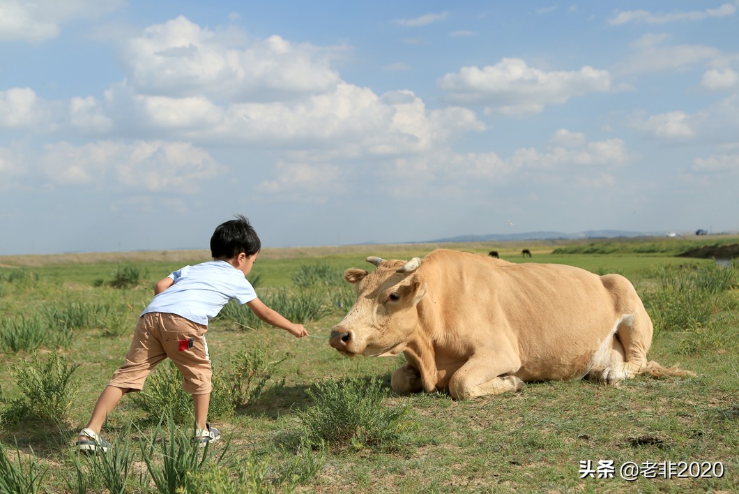 河北草原天路自驾游好玩攻略,内蒙古玩草原最佳路线