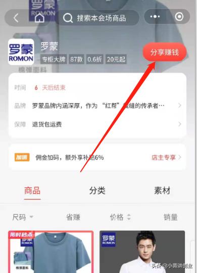 十大躺赚项目,蓝海赚钱