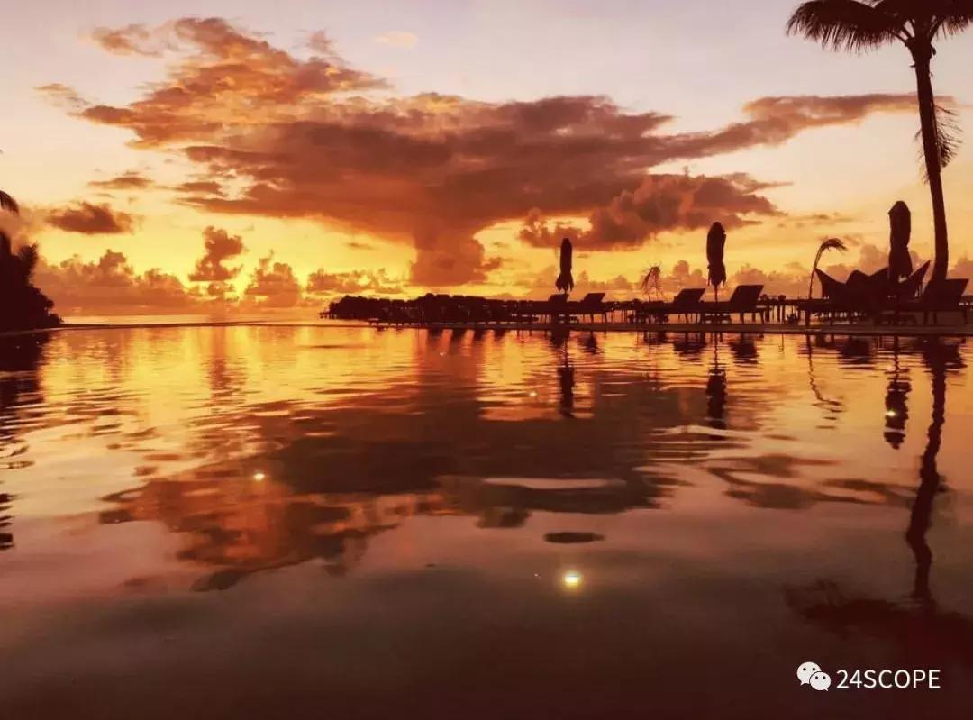 马尔代夫最美度假旅游岛酒店,马尔代夫娇丽酒店价格