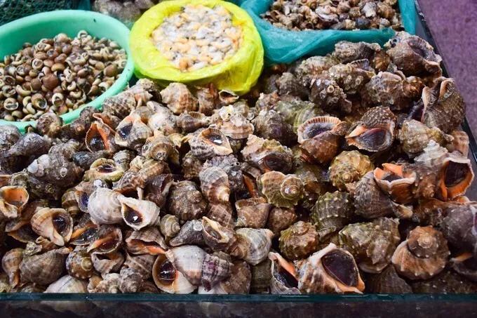 青岛清明节哪些景区开放,青岛清明节穿什么衣服