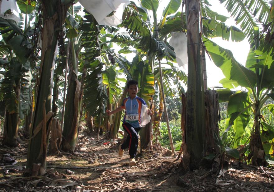 2020年广东省定向冠军赛带你“打卡”砚洲岛