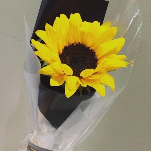 经典爱情扎心句子短句,关于爱情很甜的句子朋友圈