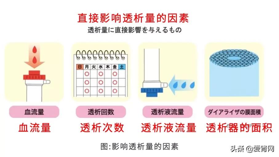 血流量对透析的影响,透析病人在透析时血流量应放多大