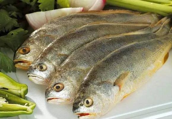 比料酒更能去腥,做鱼什么可以替代料酒去腥