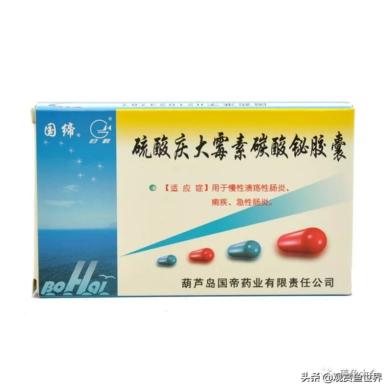 养小型观赏鱼常备药,观赏鱼能用什么药最安全