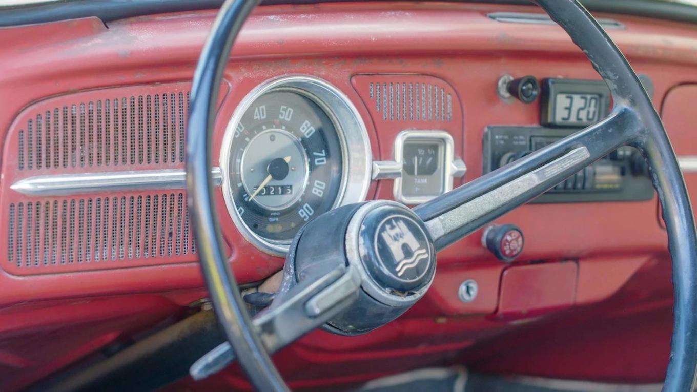 甲壳虫安妮视频,甲壳虫安妮后续