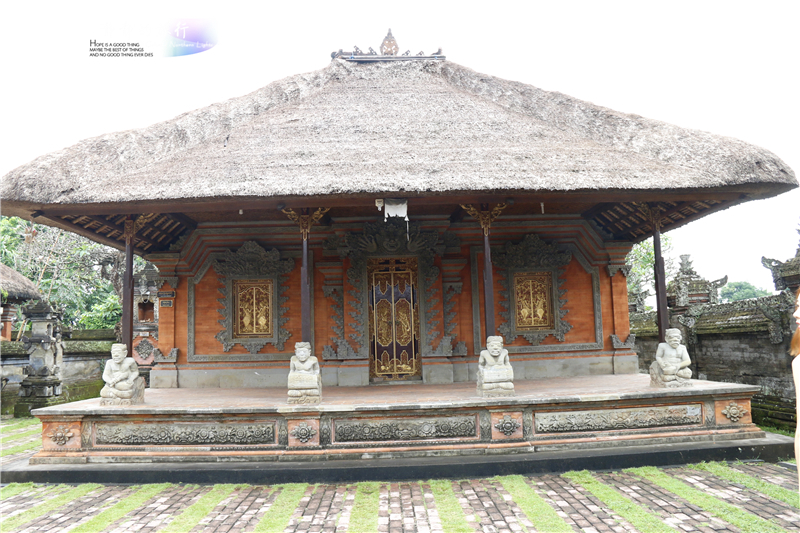 印尼猫屎咖啡比普通咖啡贵几倍,雅丁山印尼猫屎风味咖啡价格