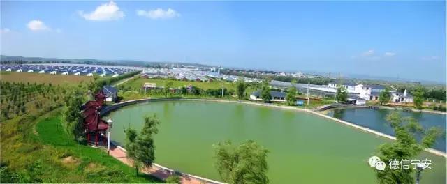 农业农村部、财政部公布！宁安成为首批20个国家现代农业产业园之一