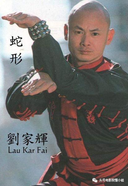 刘家辉醉拳电影免费观看,刘家辉中风视频