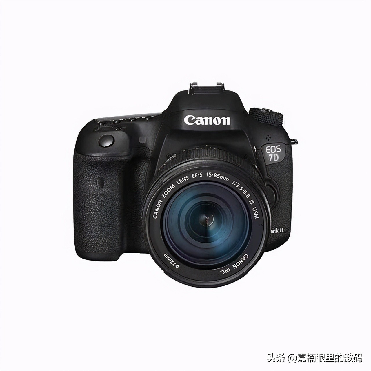 新手入门佳能哪一款相机比较好,佳能哪款相机推荐入手