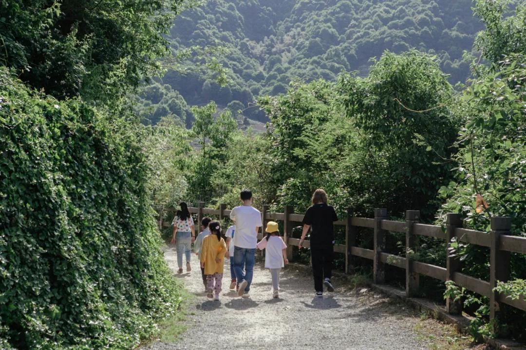 杭州百景｜龙坞，茶，太阳，酒，音乐