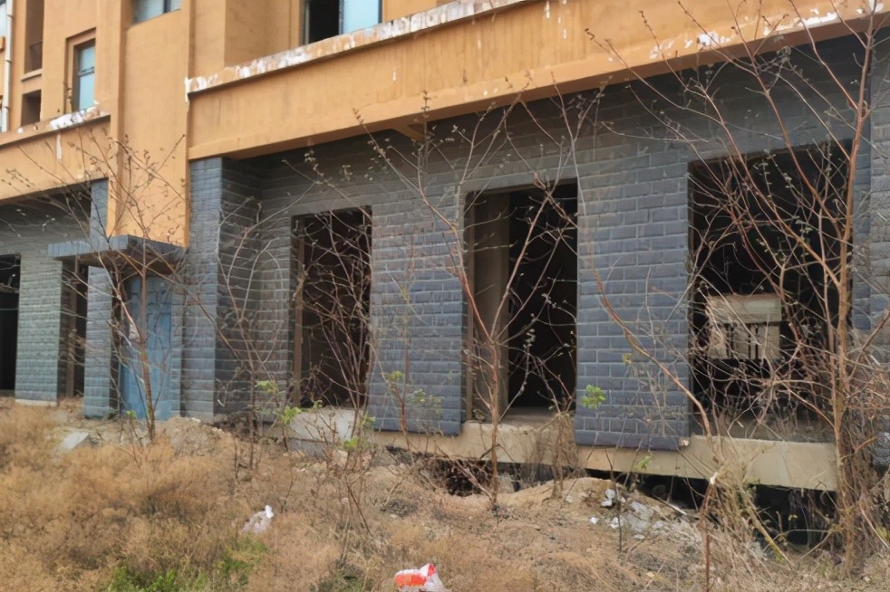 河南烂尾楼事件,河南烂尾楼自救