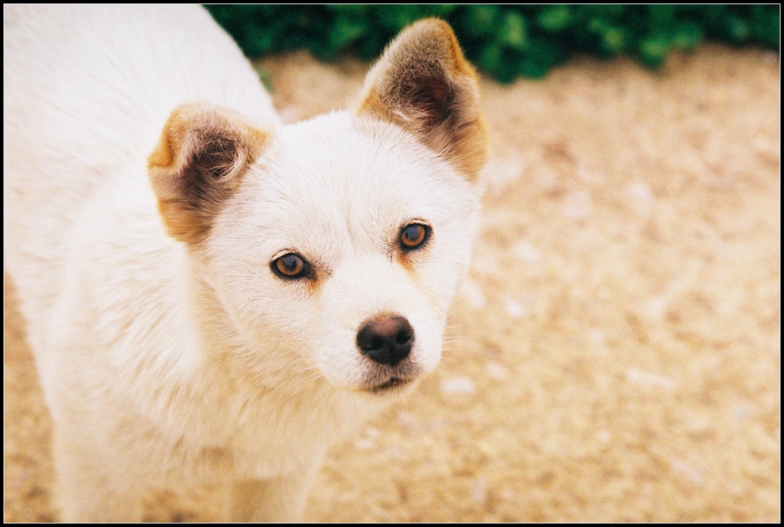 关于二手设备的问题,关于二手东西