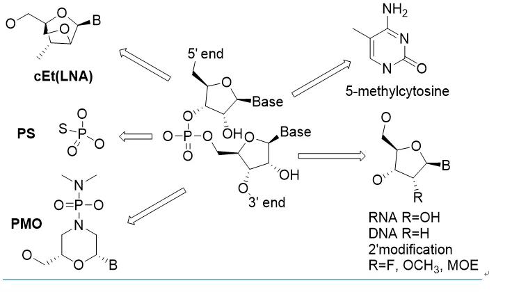 rna药物发展前景,生物科技2025年