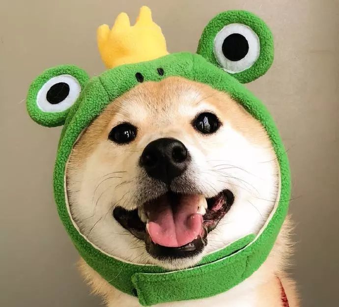 如何轻松搞定仪式感满满的生日趴,有意思的生日趴有哪些