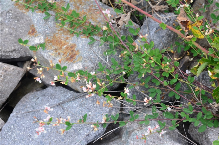 治中暑绝招,掐后颈治疗中暑