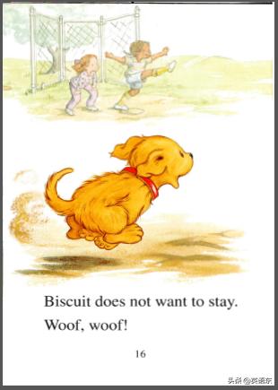 英文有声绘本Biscuitplaysball饼干玩球