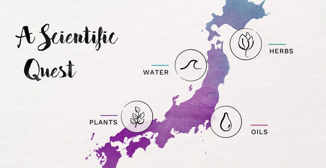 sk-2化妆品怎么样,日本sk化妆品