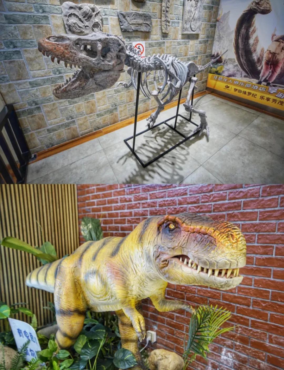 为什么江苏人爱去高速服务区旅游