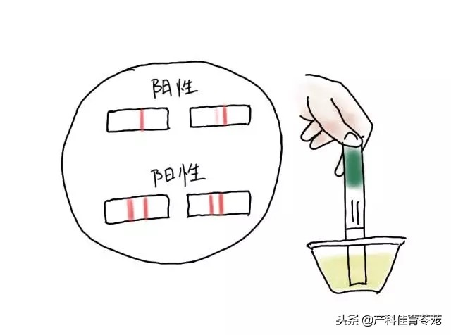 明明排卵期还是没怀上,明明排卵期怎么怀不上