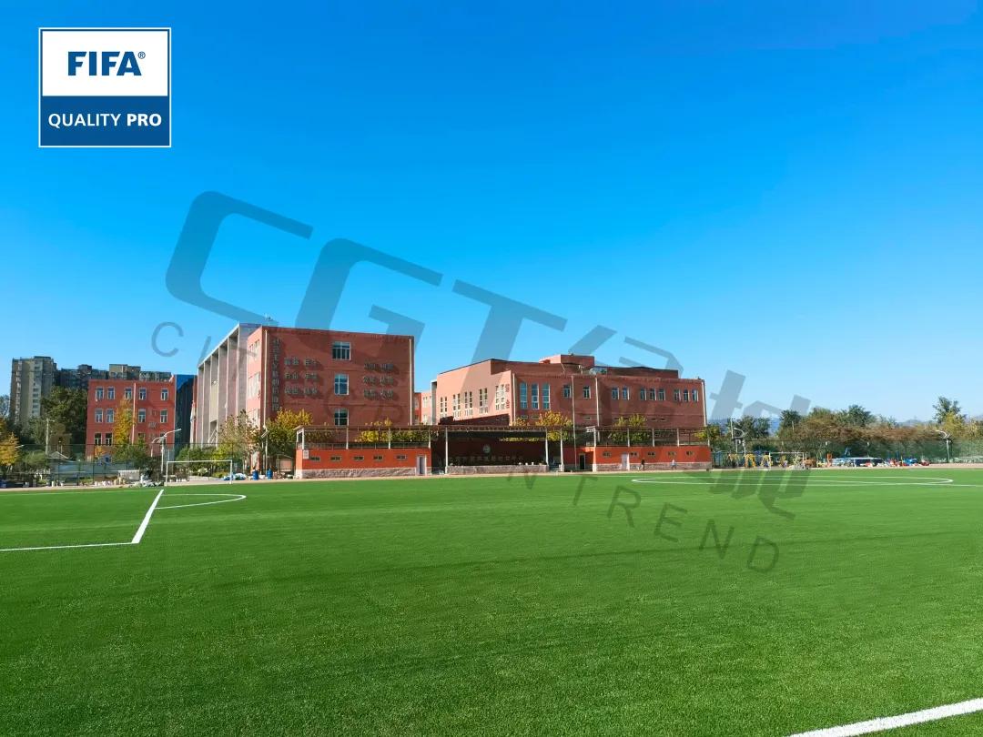 世界学生日|把握时光，坚定信念，为中国梦放飞青春