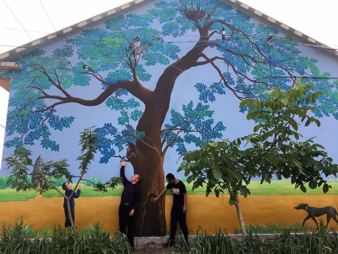 90后小伙种上百亩野果覆盆子,种植一年就可以挂果的蓝莓