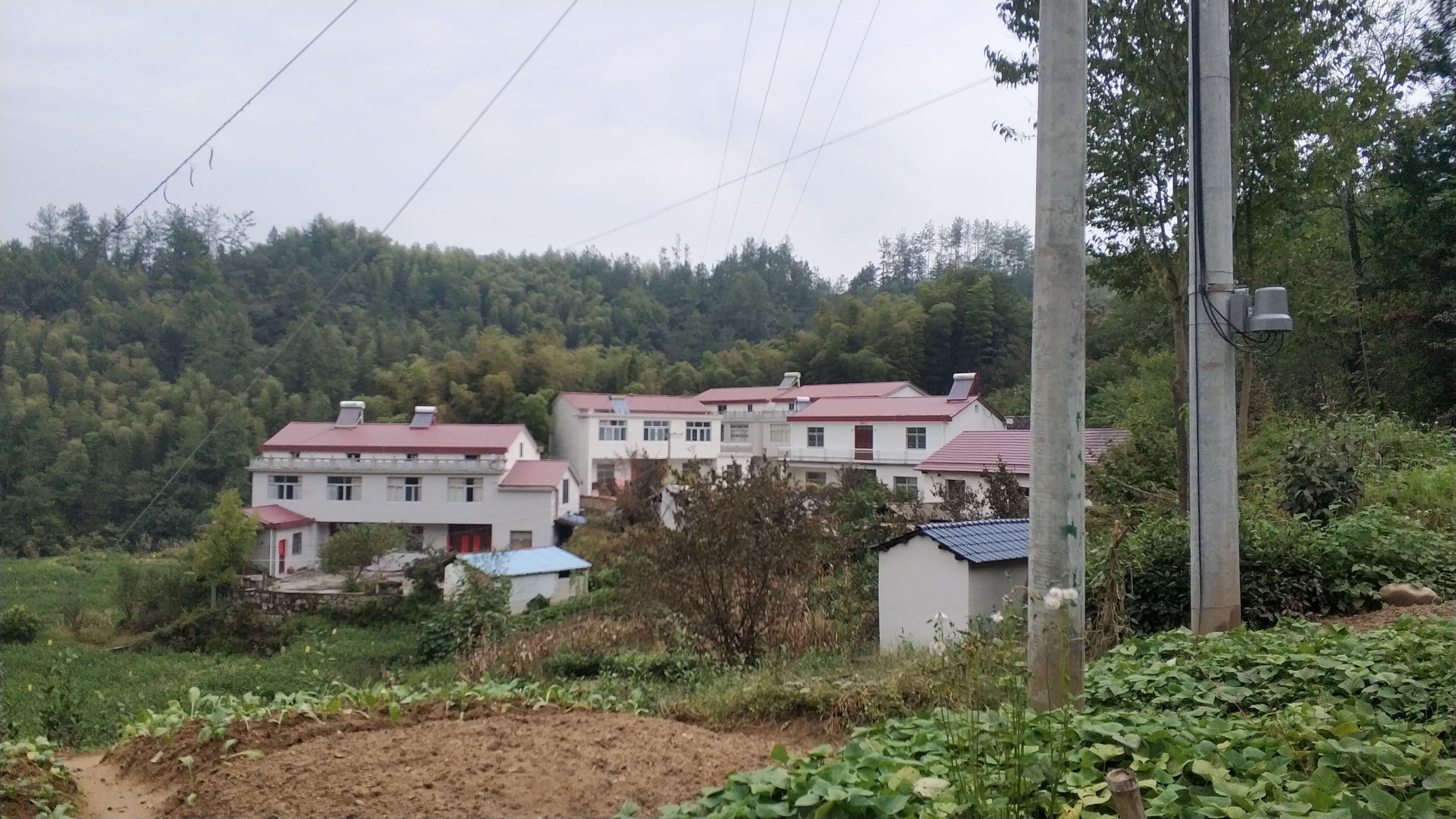 太阳能热水器和电热水器哪个省电,农村用电热水器还是太阳能热水器