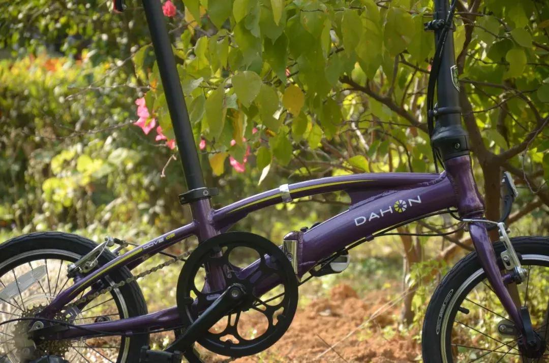 DAHON美国大行折叠SRA682，陆地上飞翔的剑鱼