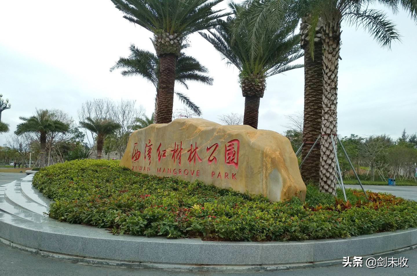 疫情过后调研问卷,深圳宝安疫情防控进展