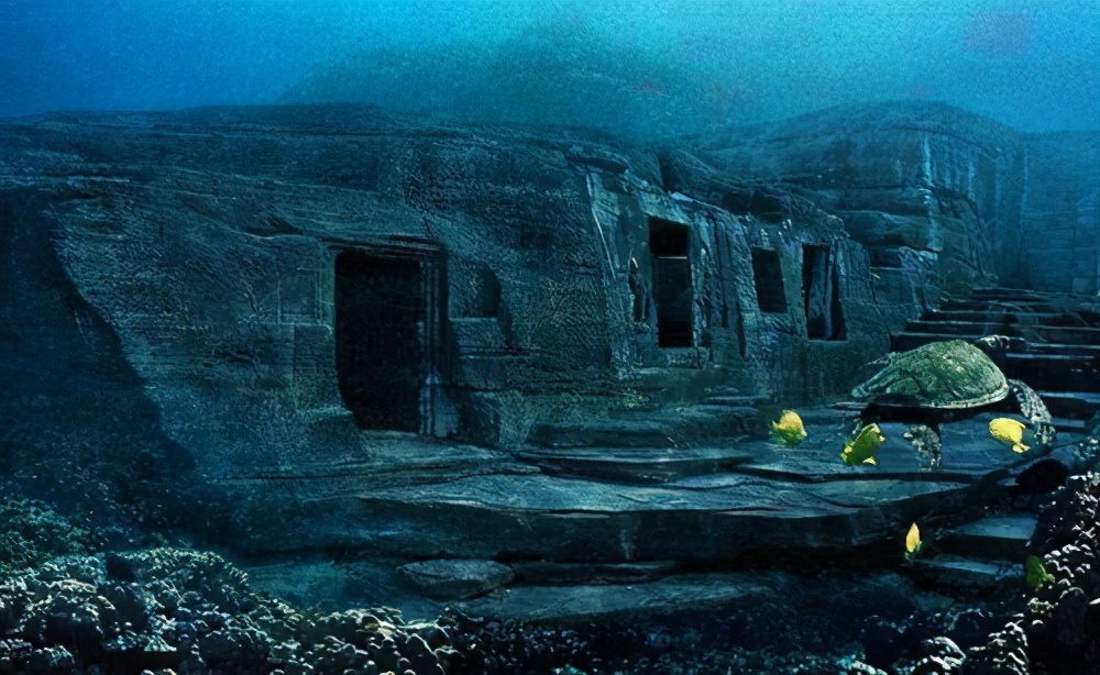 夏日补品,补品鳗鱼