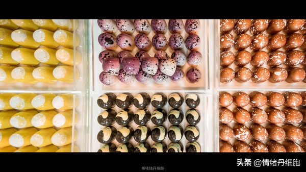 可以去玩一整天的地方,能玩一两天的地方