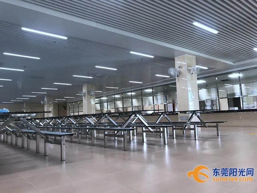 东莞这两年新增的公立学校,东莞市新增公办学校分布在哪里