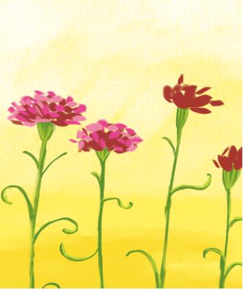 教师节儿童画康乃馨,八岁小孩画简单教师节的绘画