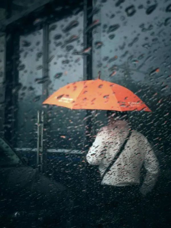 大家用手机拍出过什么好看的照片,赞别人的照片拍摄得好的句子